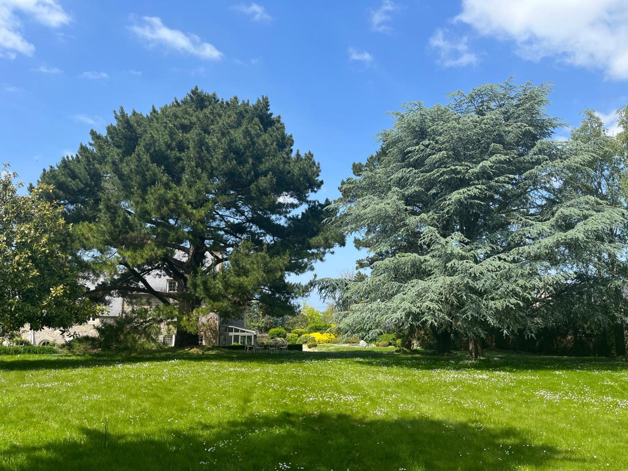 Manoir Des Bords De Rance Bed & Breakfast Plouer-sur-Rance Bagian luar foto