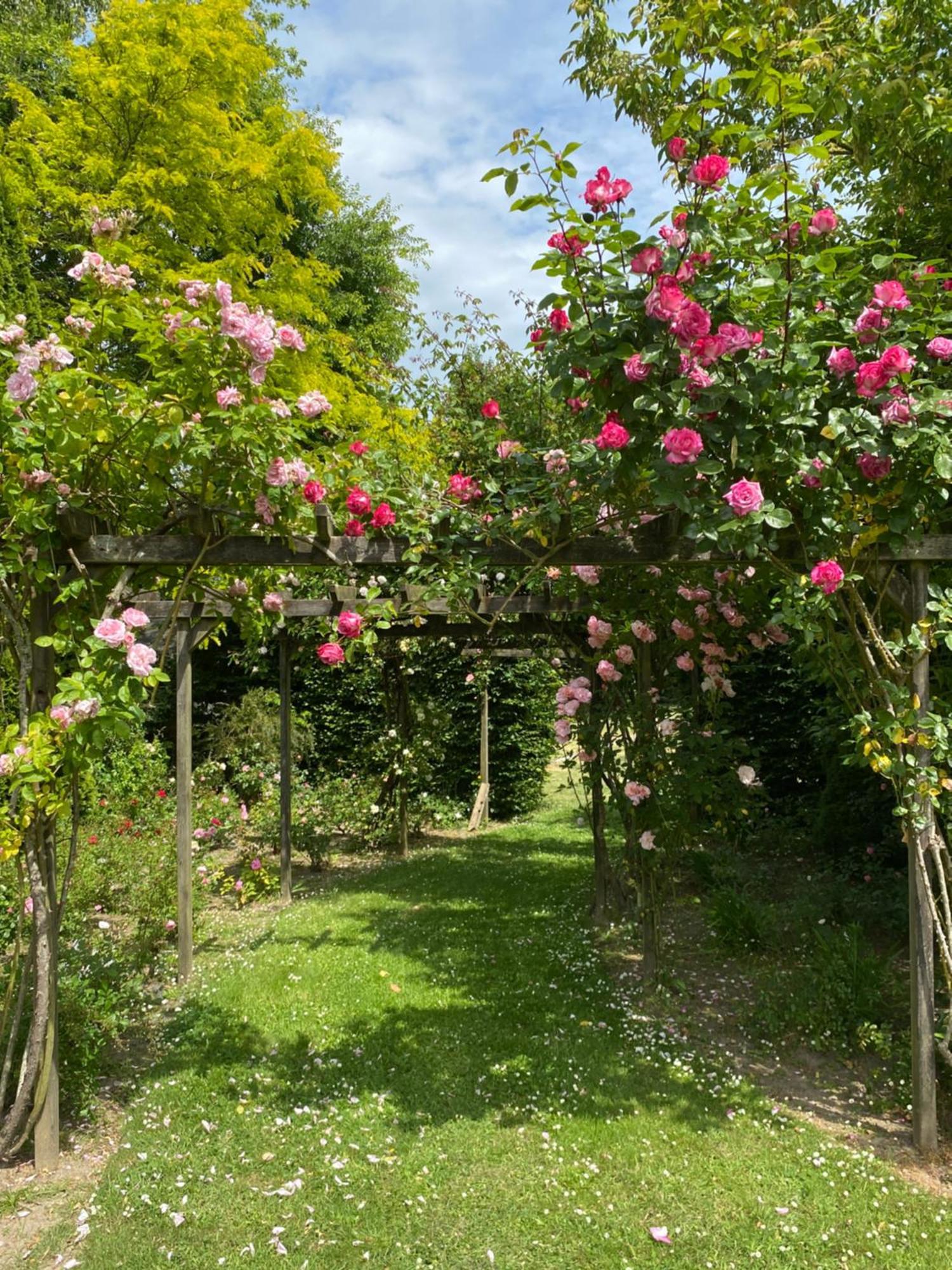 Manoir Des Bords De Rance Bed & Breakfast Plouer-sur-Rance Bagian luar foto