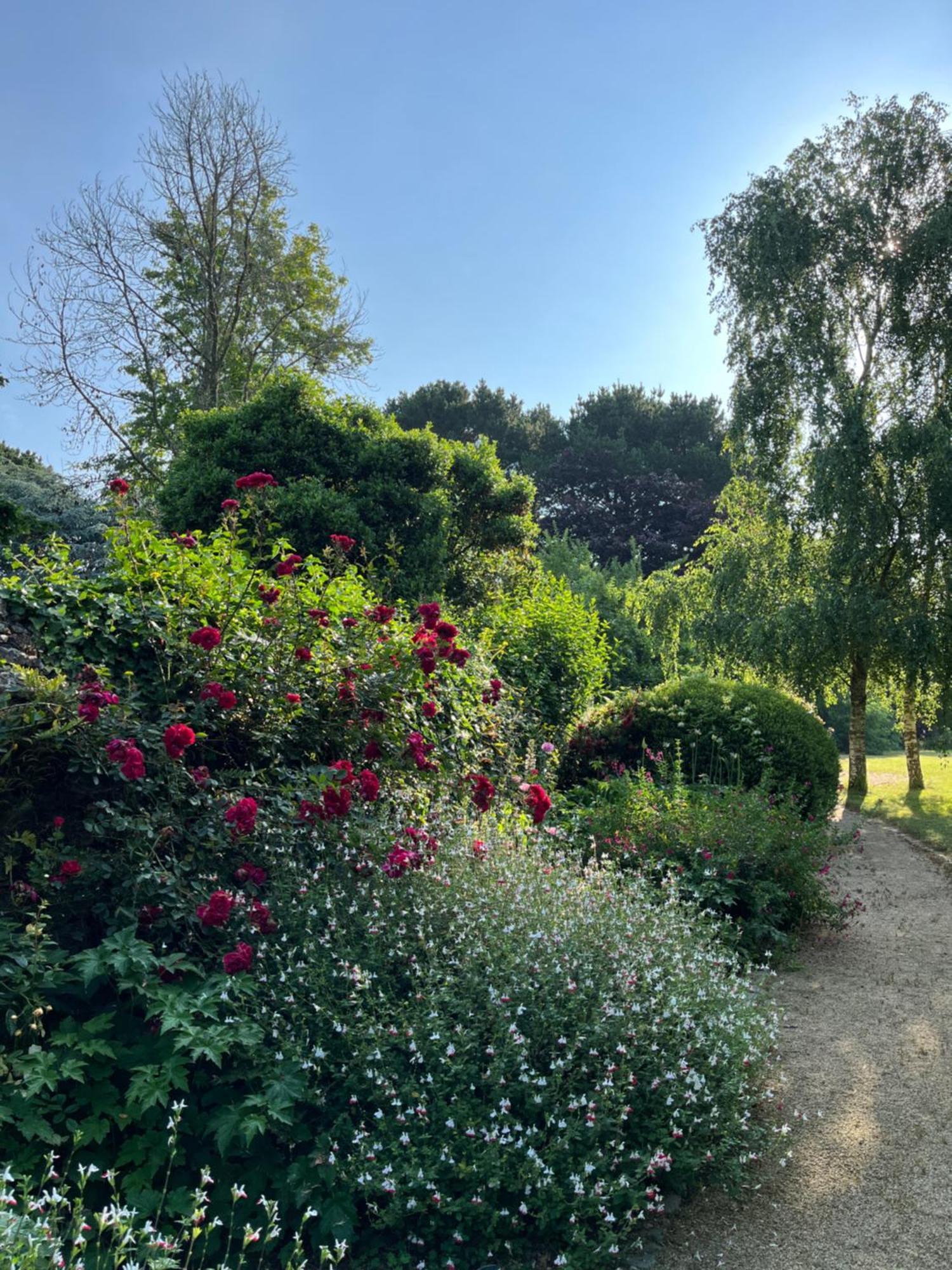 Manoir Des Bords De Rance Bed & Breakfast Plouer-sur-Rance Bagian luar foto